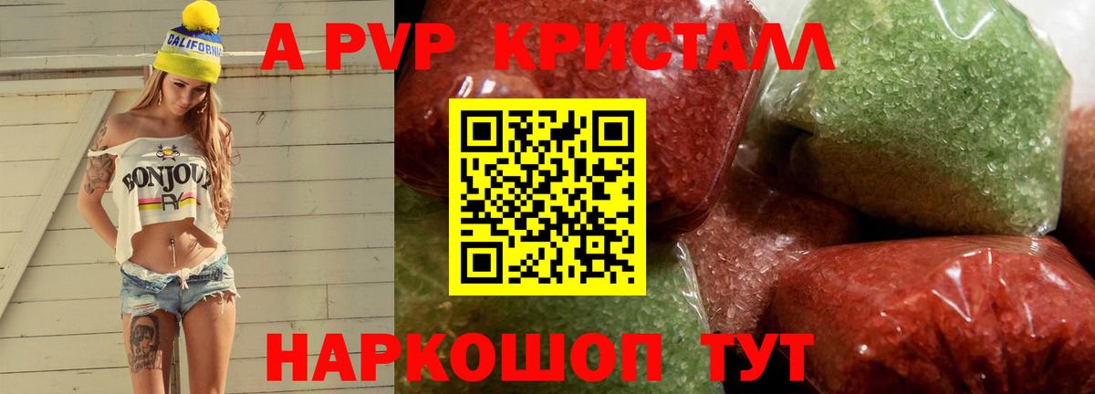 Alfa_PVP СК Верхняя Пышма